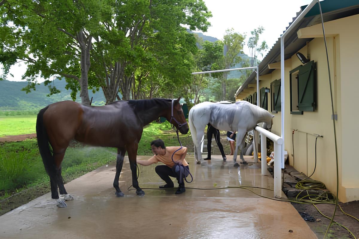 Discovery riding lessons at Cascavelle, near Flic en Flac in Mauritius