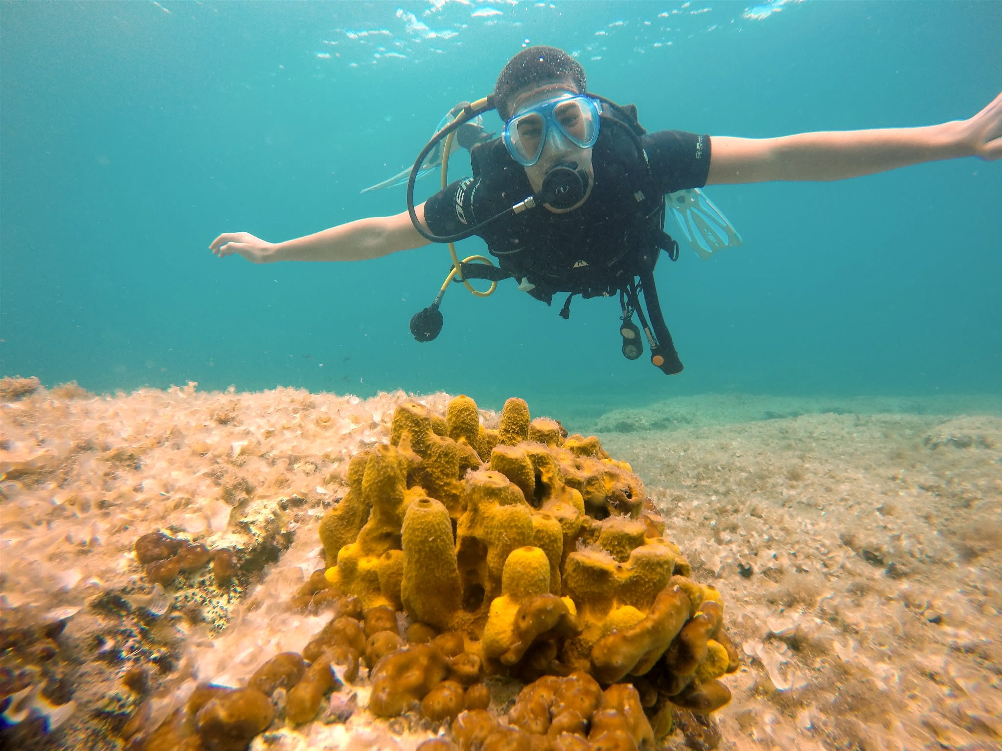 Buceo en la playa de Agia Marina