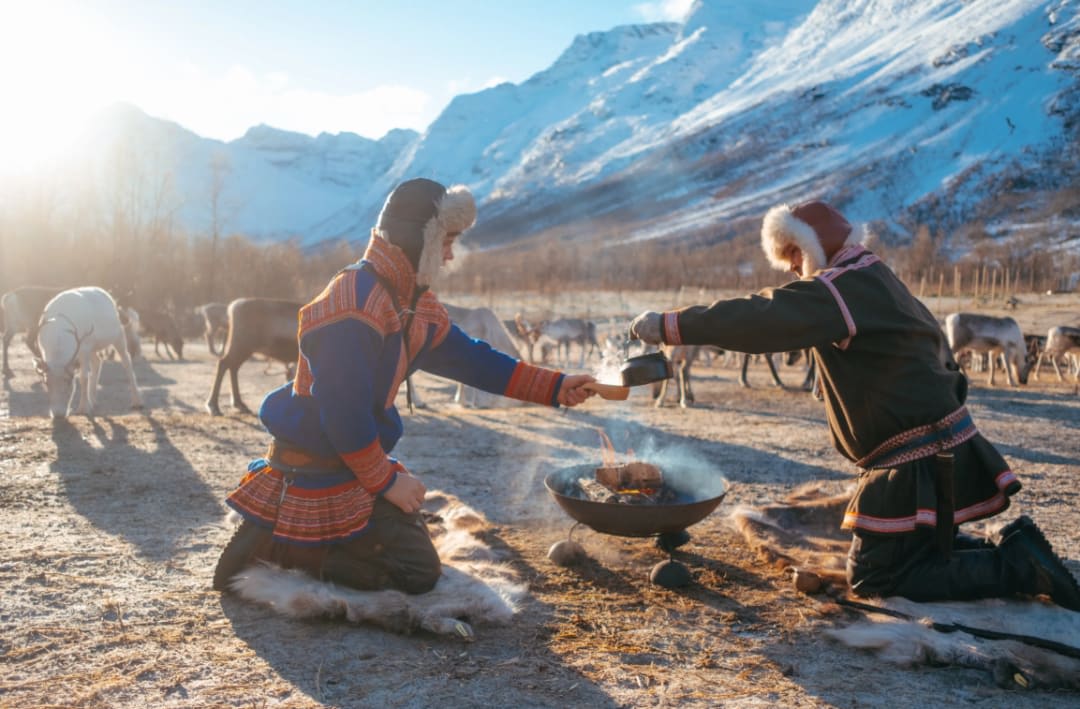 Sami Culture and Reindeer Experience from Tromsø
