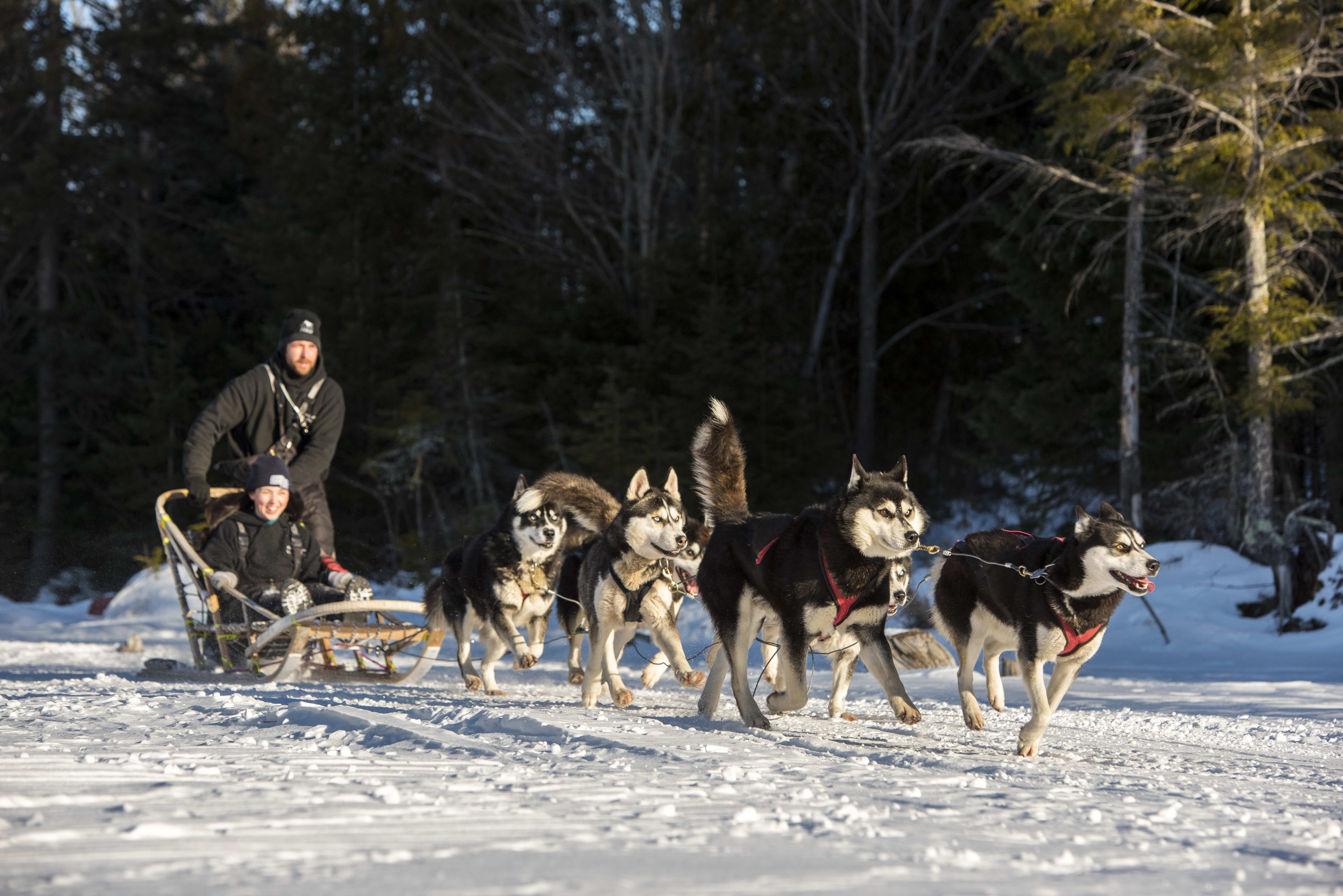 dog sledding at Saint-Hippolyte in the Laurentians