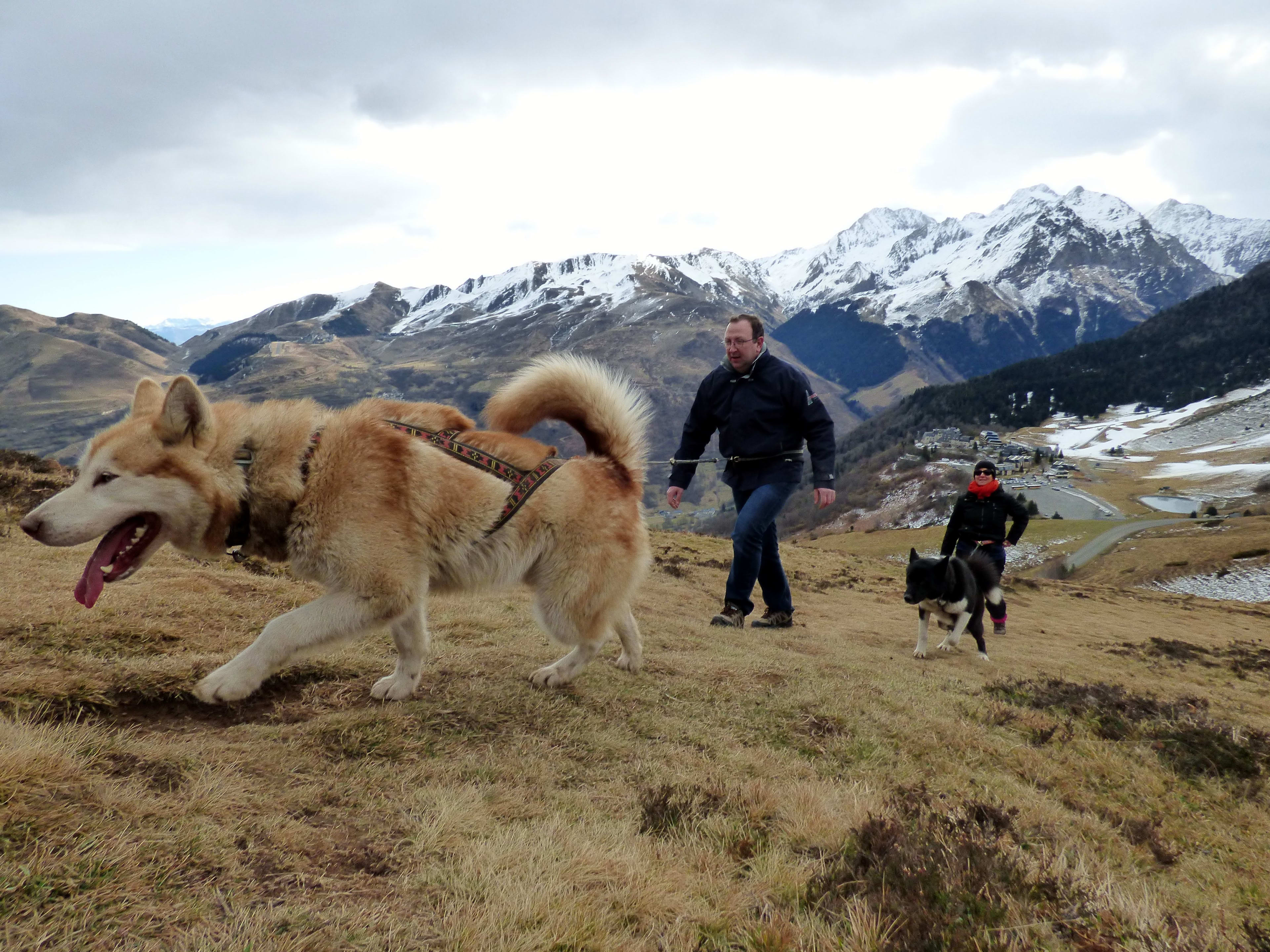 Hiking with huskies