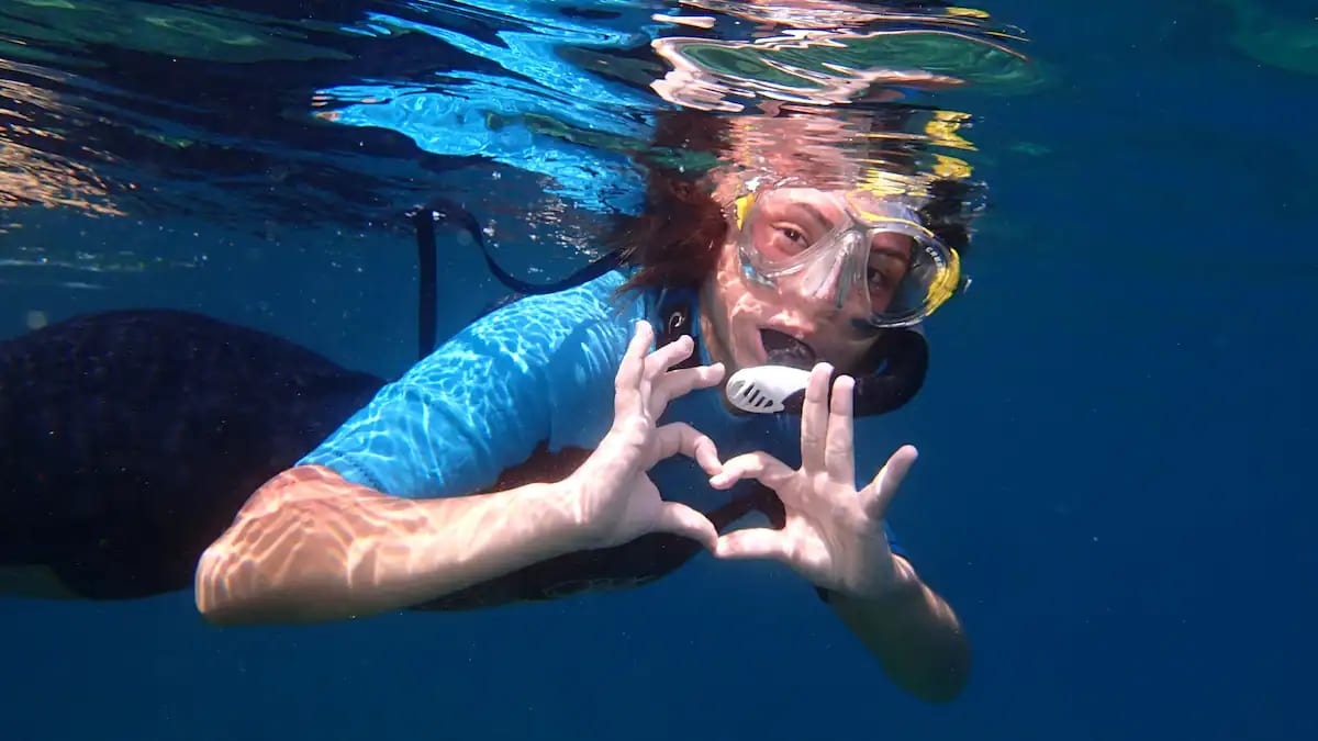 Snorkelling Tour in the Cyclopean Isles near Catania, Sicily