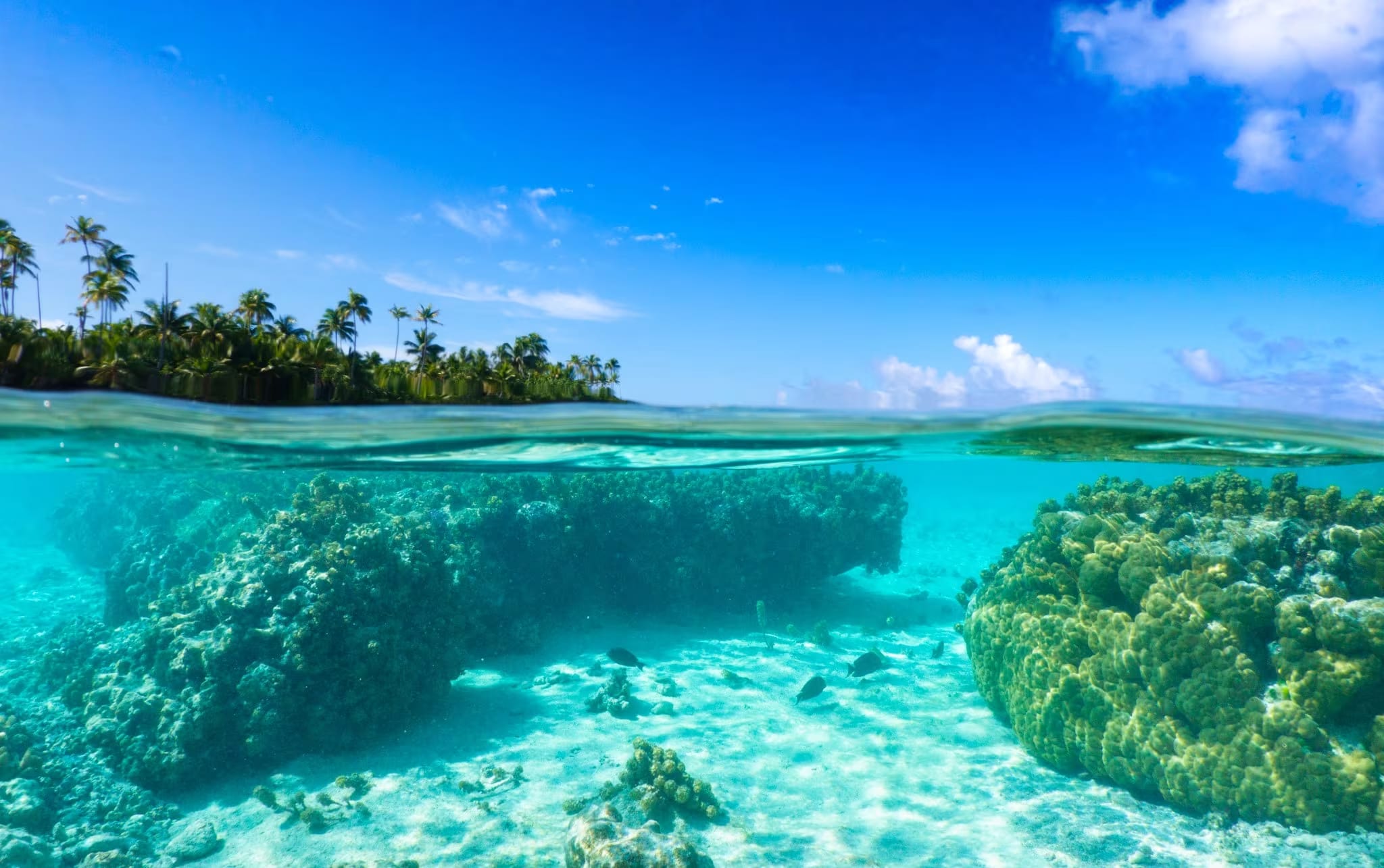 Tahiti Lagon