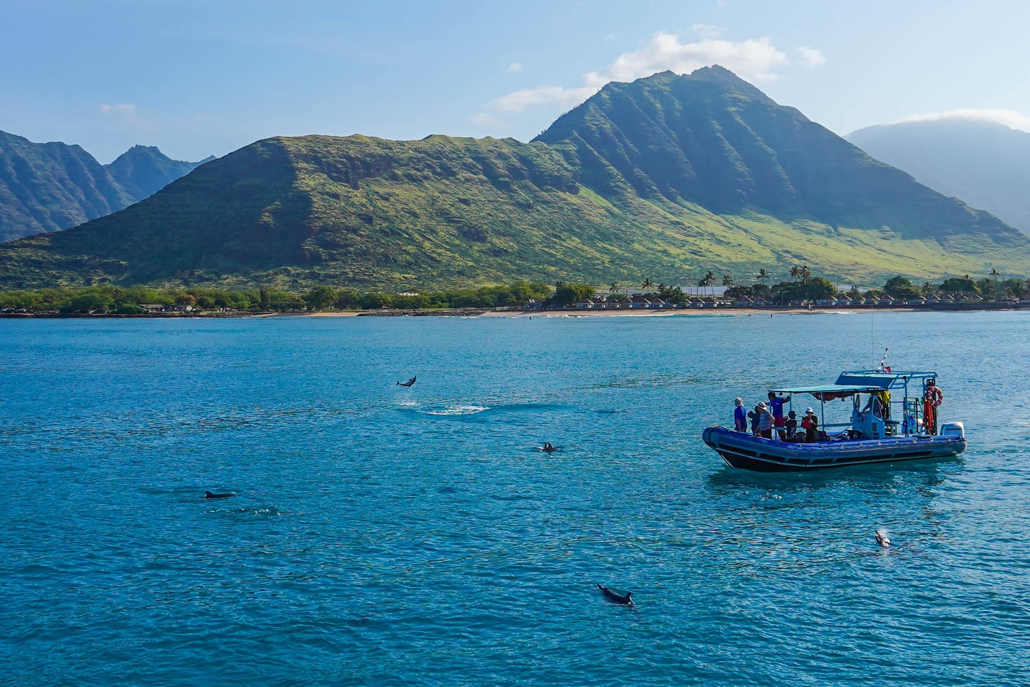 Delfin-Bootstour Hawaii