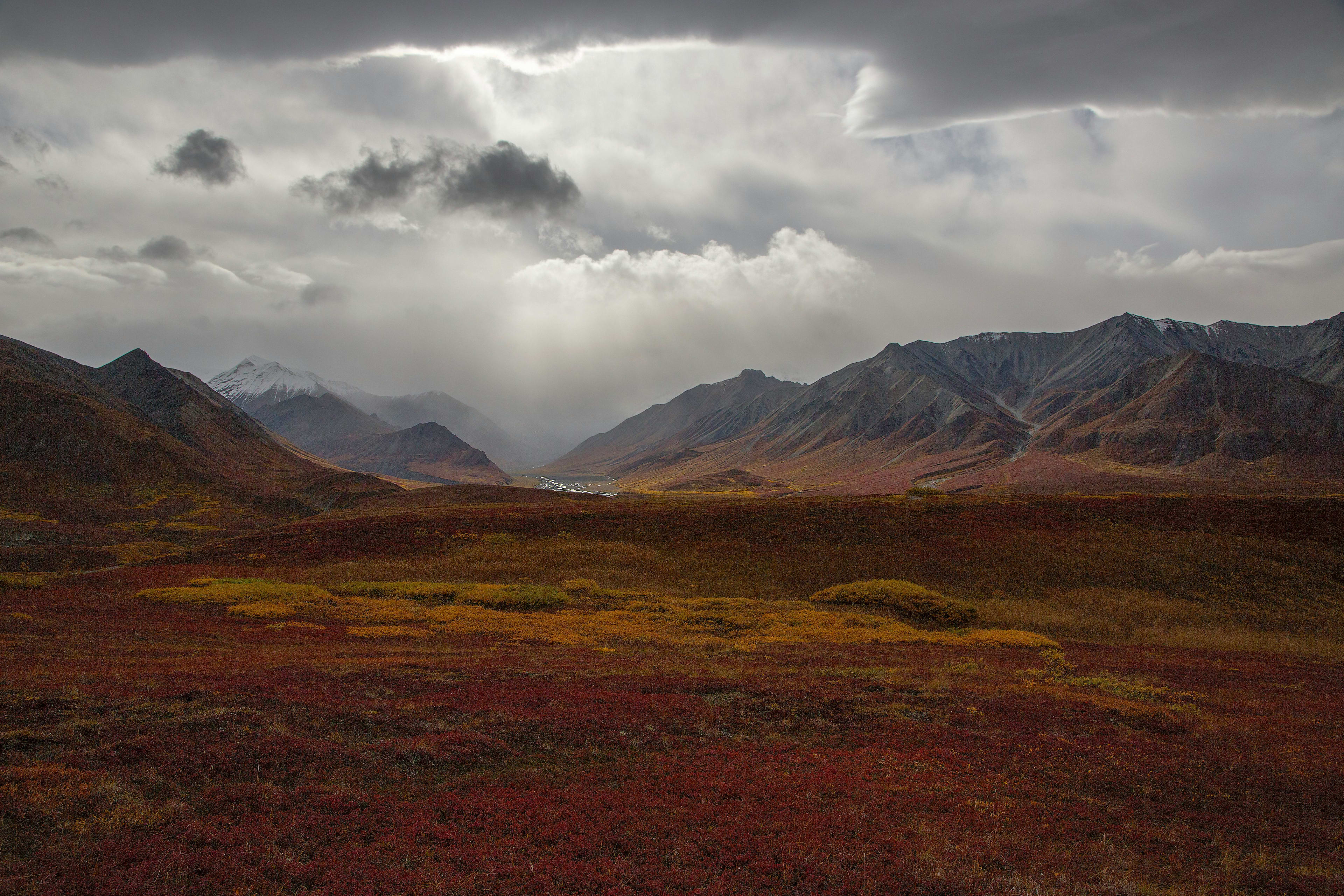 Tundra in Lapland