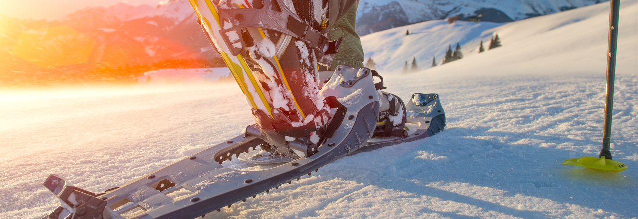 Snowshoeing