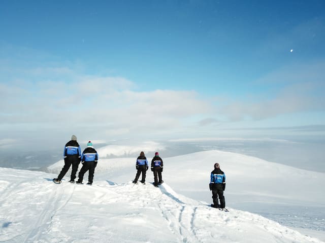 Ylläs