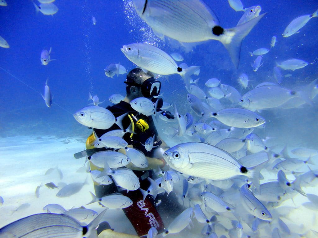 Scuba diving in Sliema