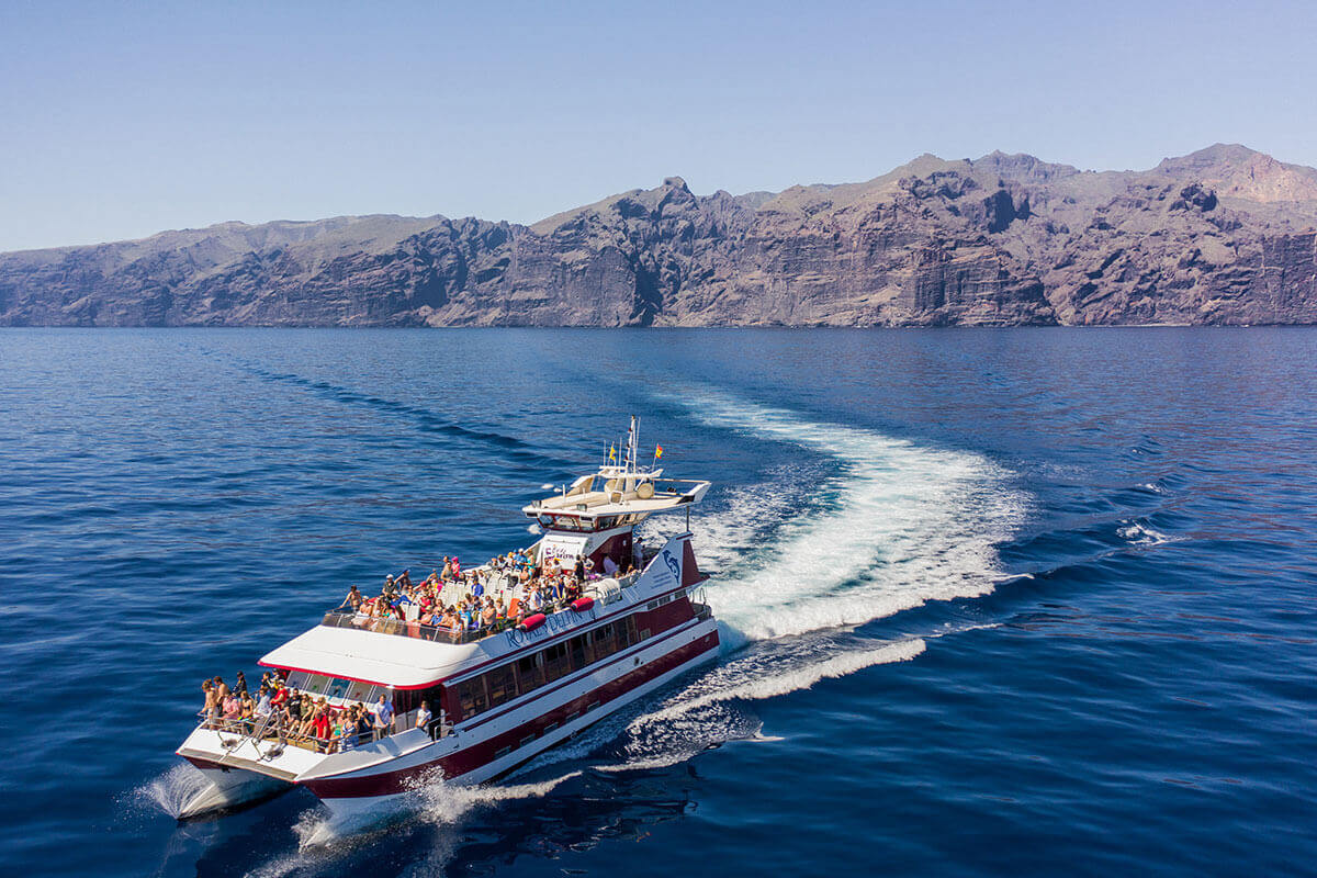 Whale And Dolphin Watching Catamaran Boat Tour From Costa Adeje 