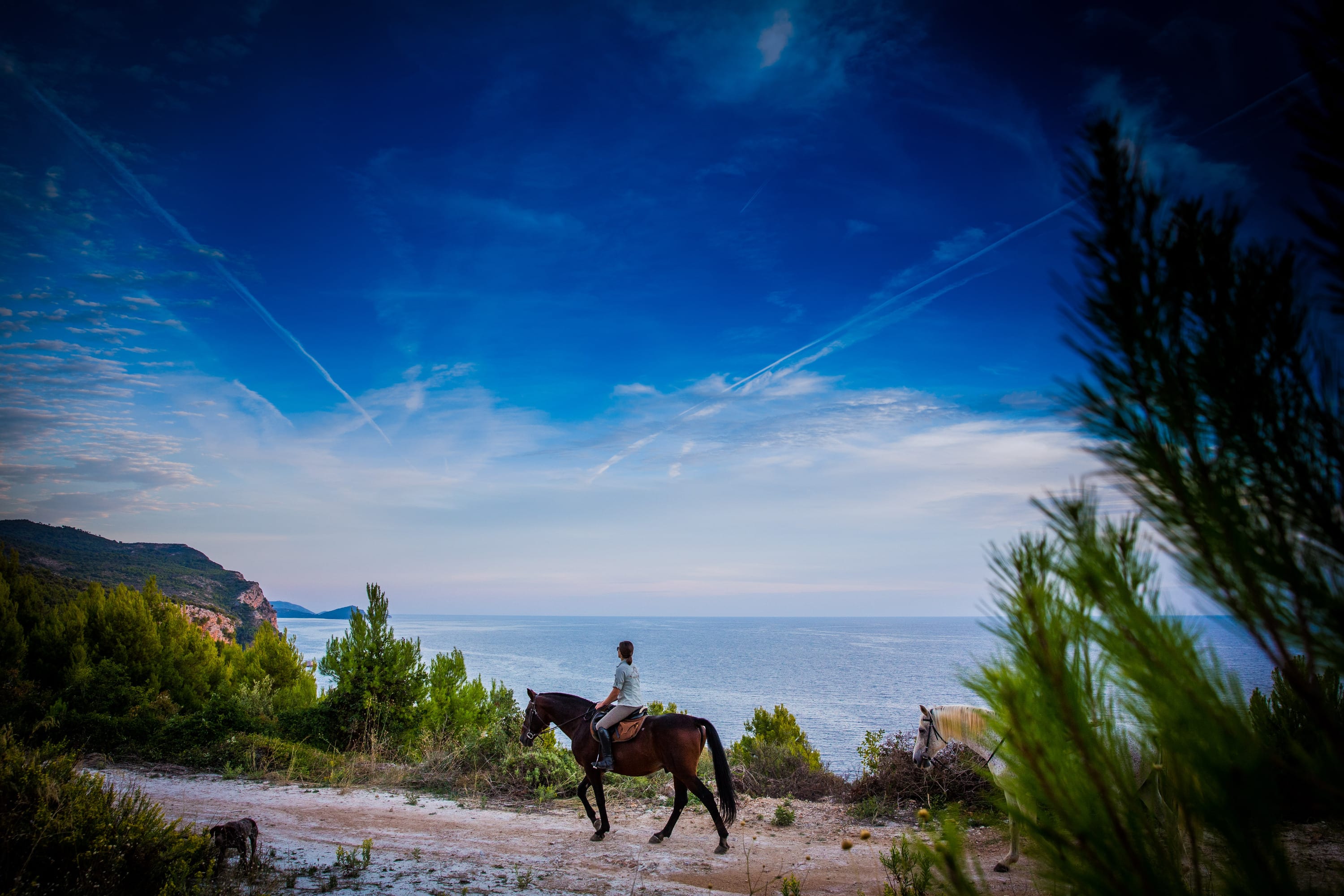 Guided horse ride in the Konavle valley from Dubrovnik
