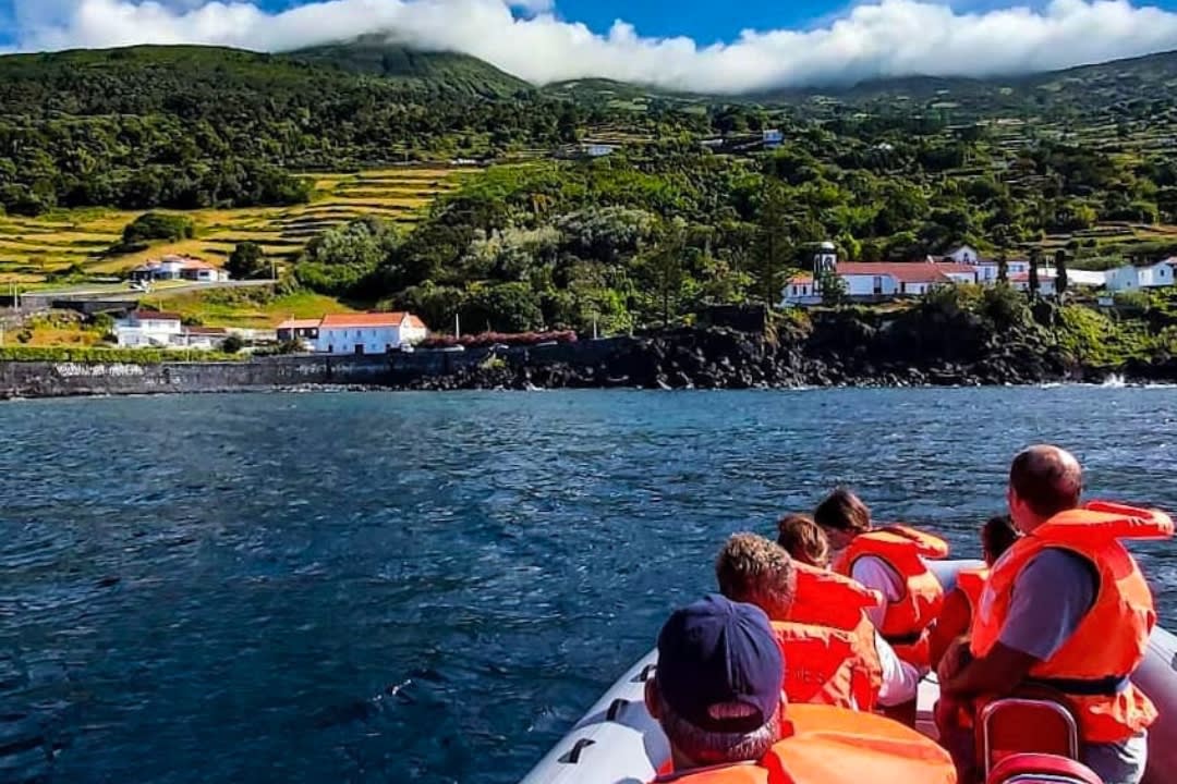 Whale Watching at São Jorge in the Azores
