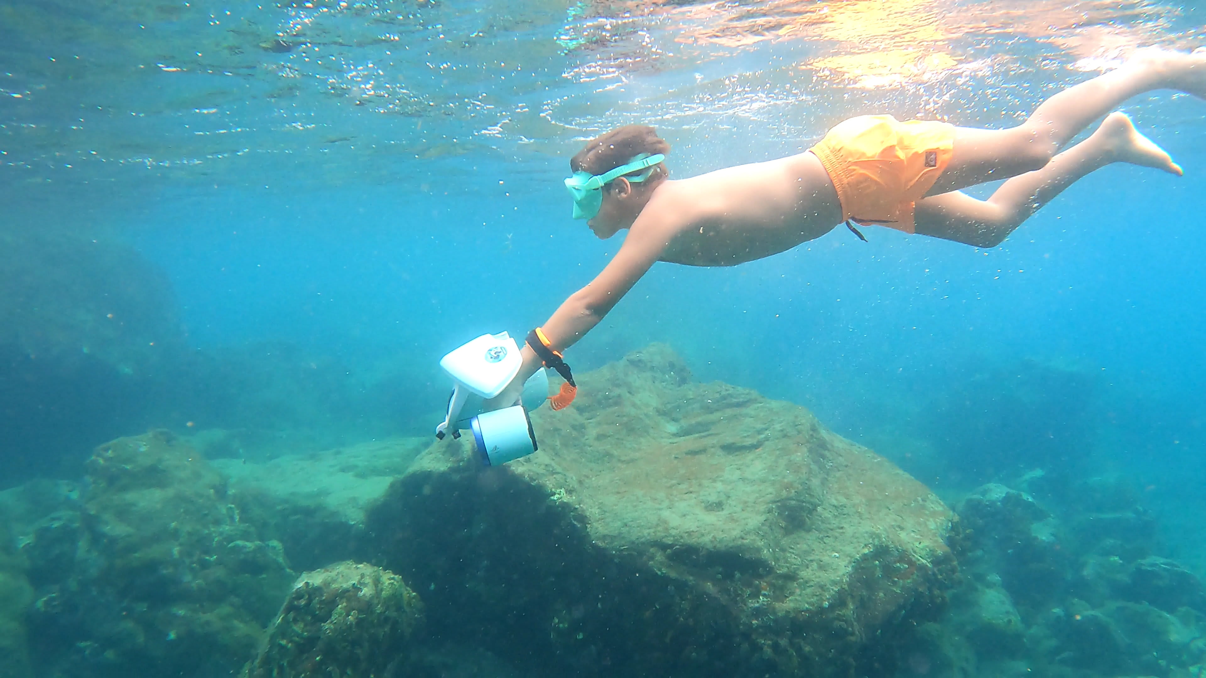 Excursión de Snorkel con niños en Martinica