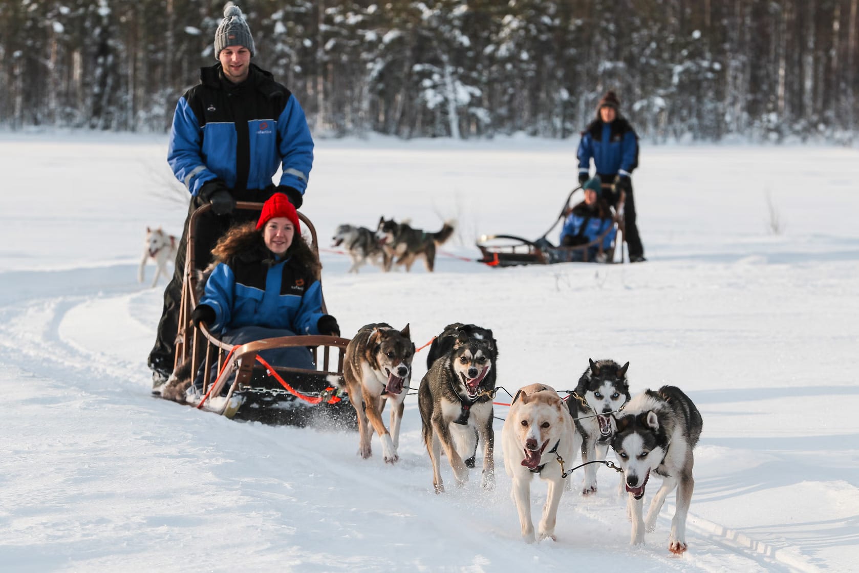 dog sledding in Saariselkä