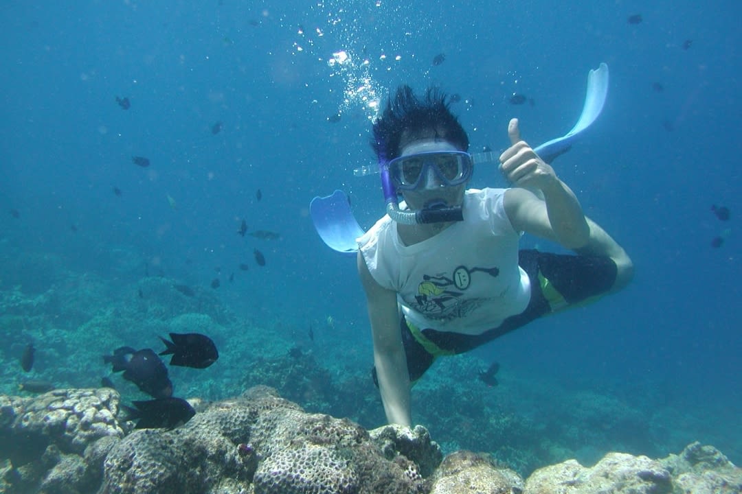 Snorkelling Excursion in Madeira from Machico