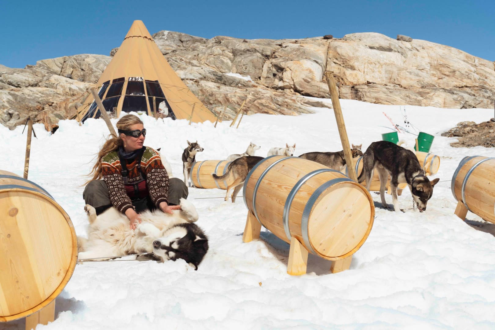 Dog sledding in Tromsø 