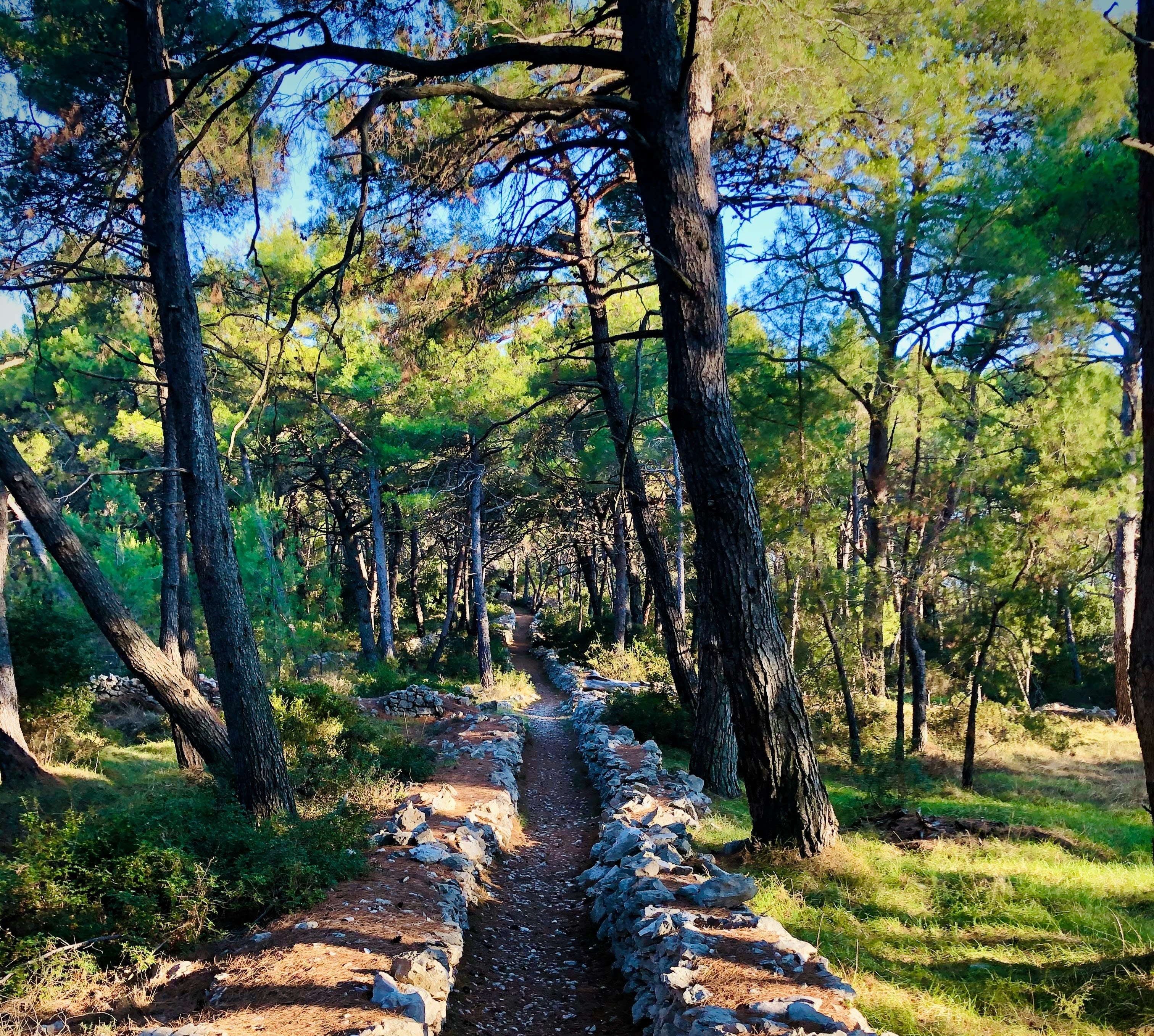 Risnjak National Park near Pula