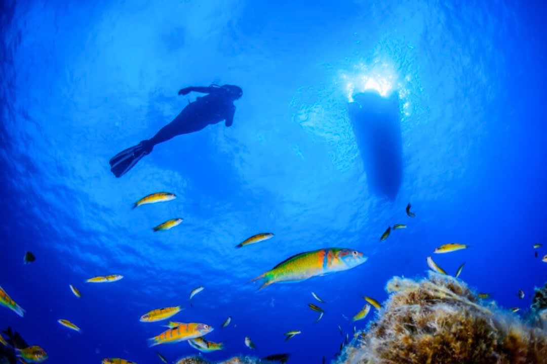 A womand doing a Guided Exploration Dives on the island of Santa Maria, Azores