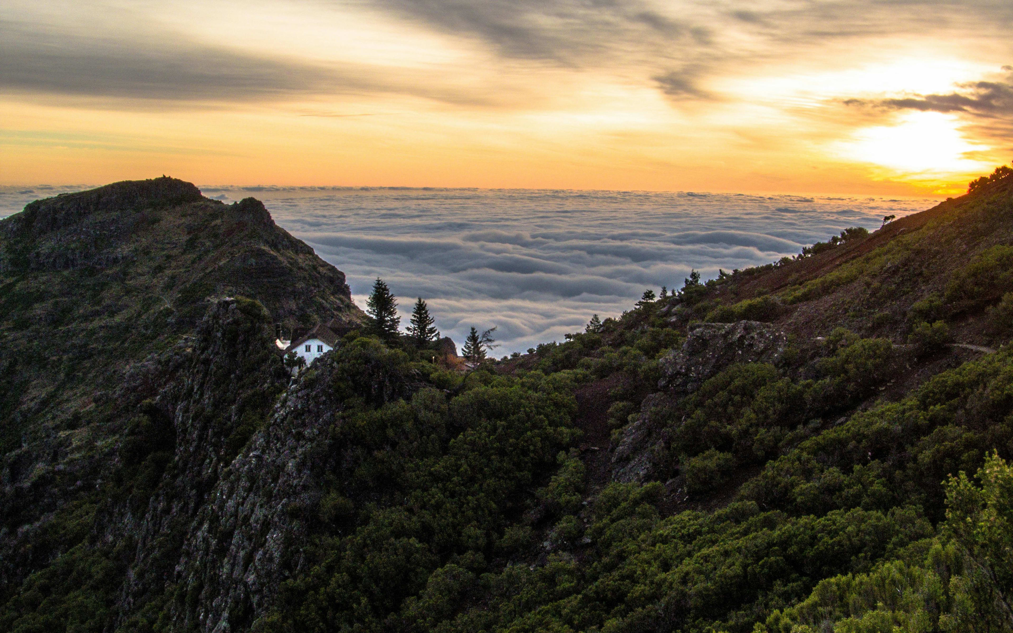 Madeira landscape