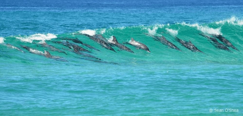 Bahía de Plettenberg