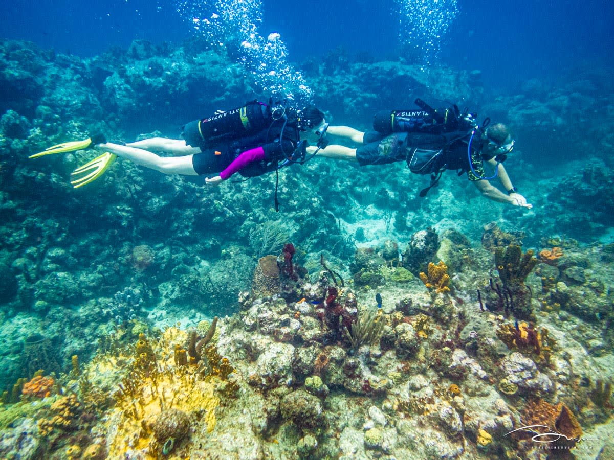 Top 10 Scuba Diving and Snorkeling Experiences in Rhodes - Rhodes