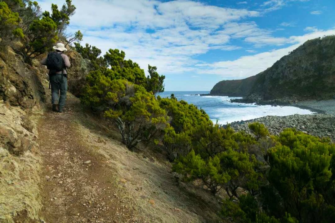 Man hiking close to coastal landscape in Terceira