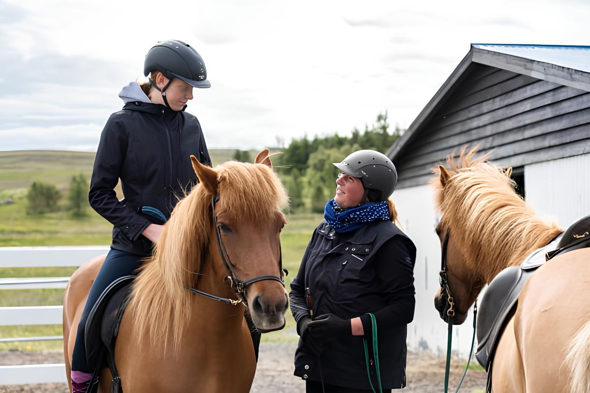 Horse feeding and riding in Varmahlid, Iceland