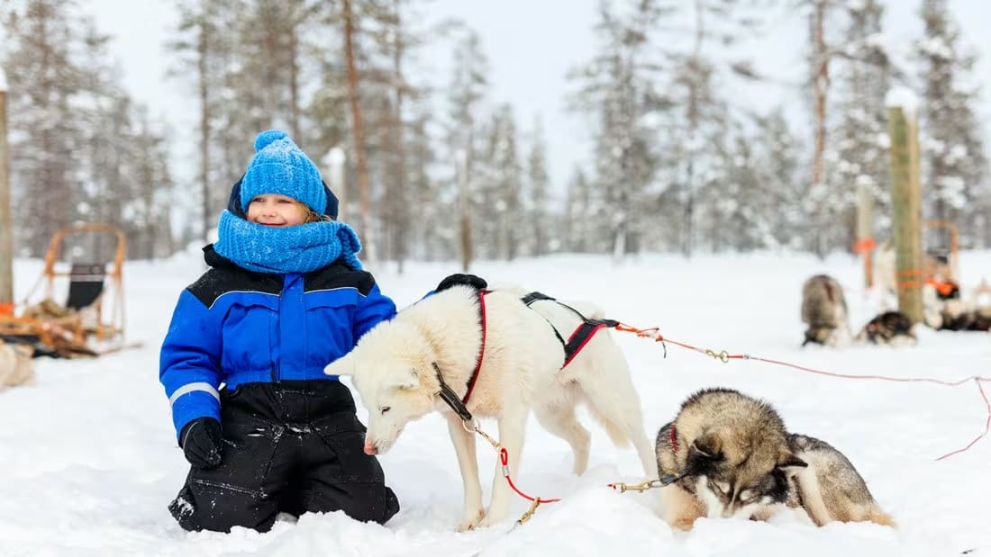 Dog sledding in Rovaniemi