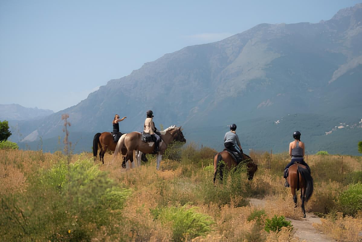 Horse riding in the Corsican mountains, Corte