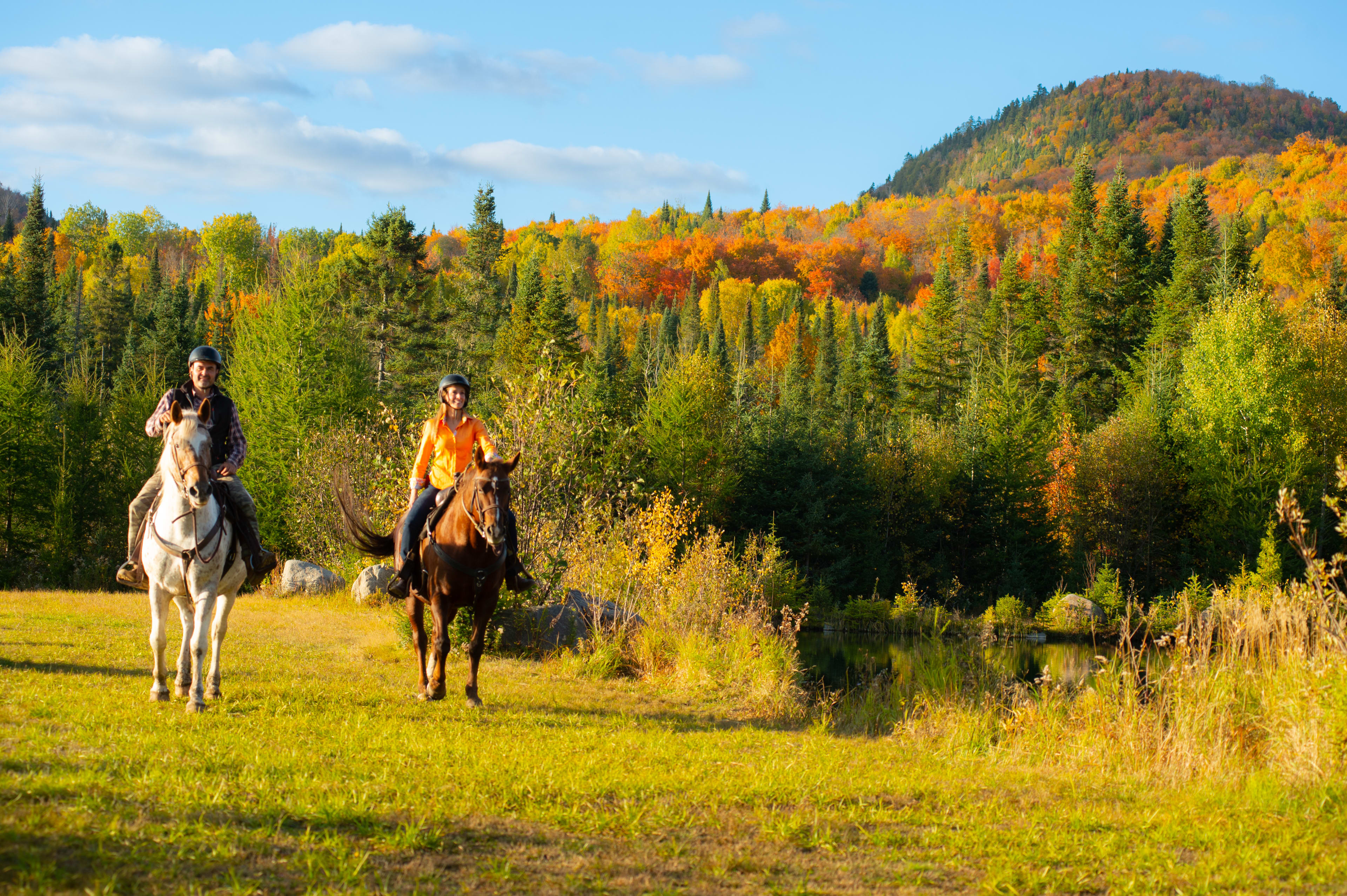 Horse riding in the Laurentians