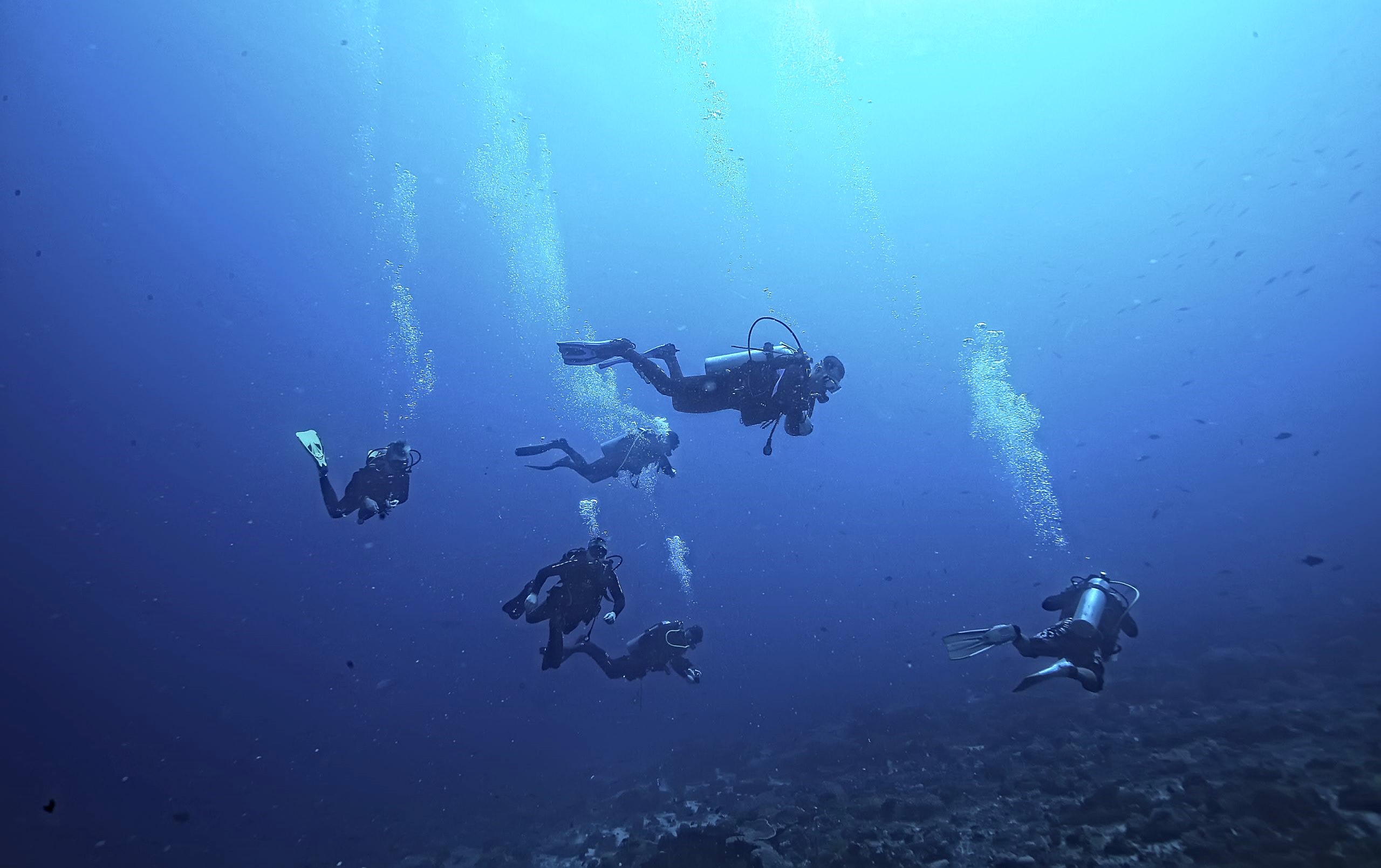 buceo en Les Saintes, Guadalupe