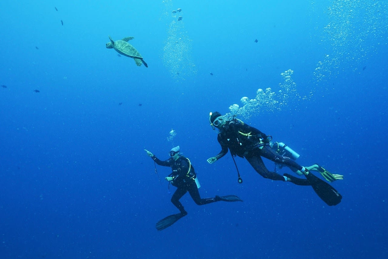 scuba diving in Moorea