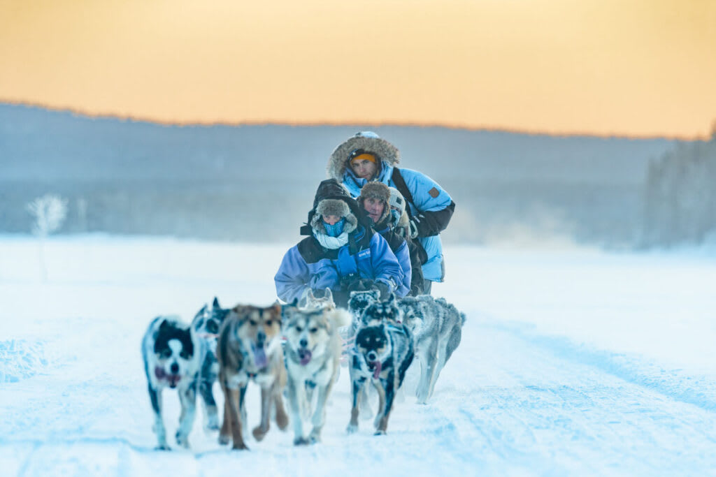 Dog sledding in Kiruna