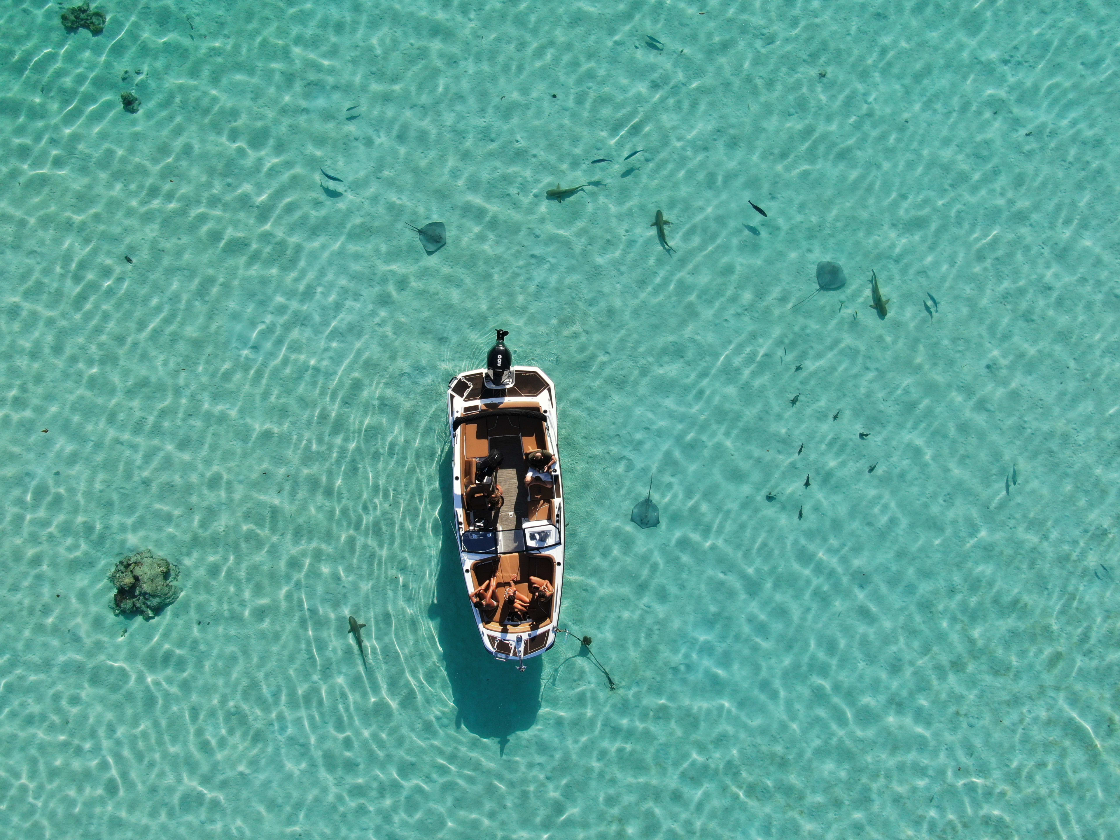 Moorea lagoon