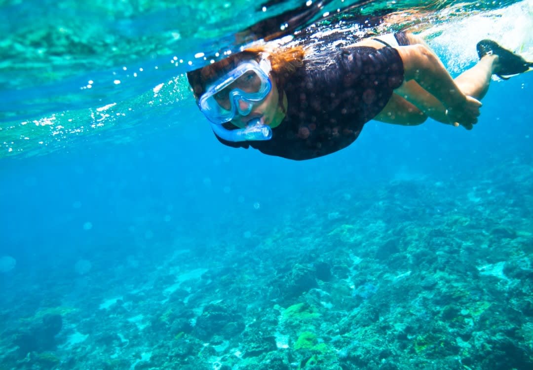 snorkeling dans la Réserve Cousteau