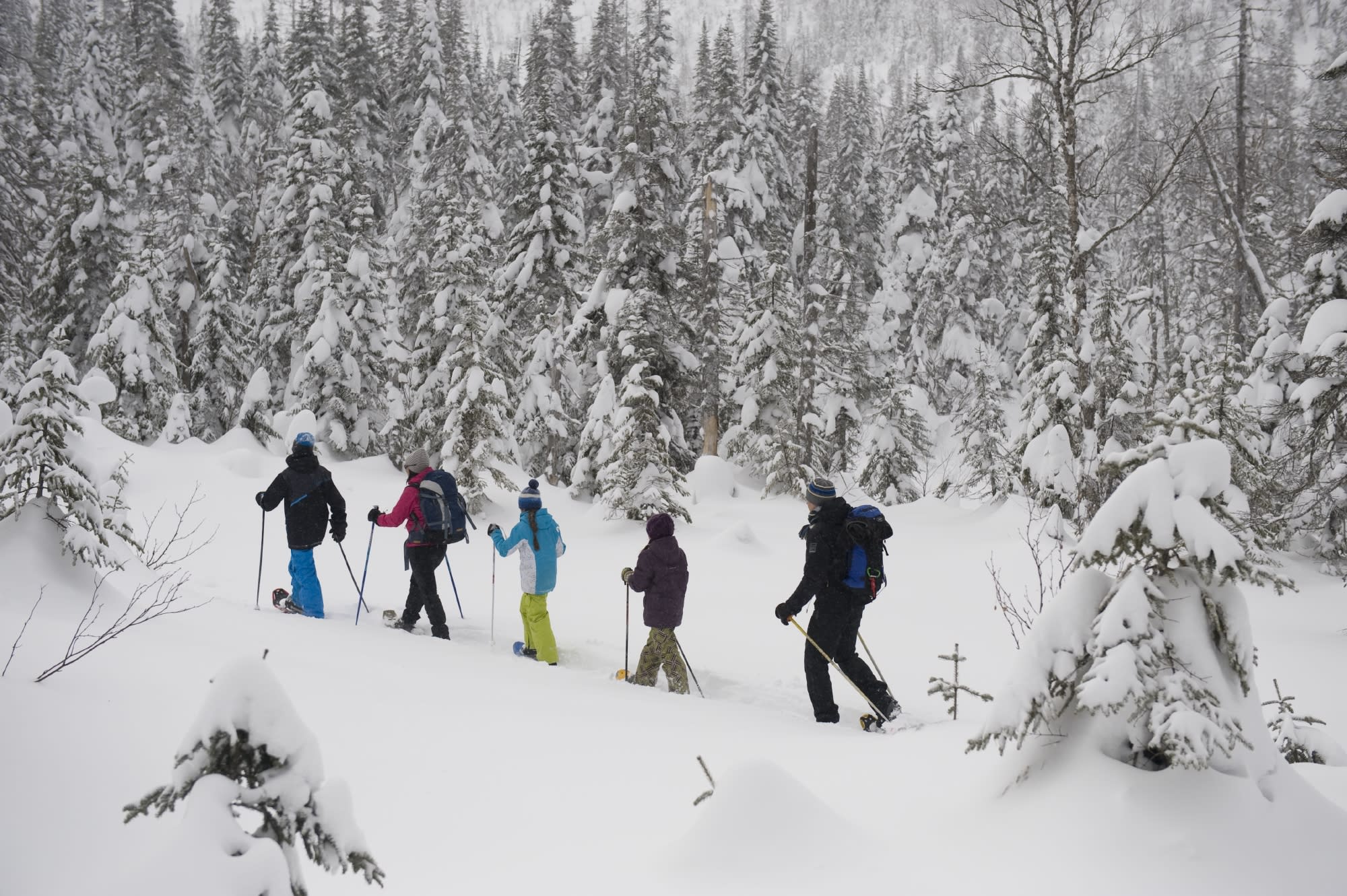 Snowshoeing in the Parc des Monts-Valin