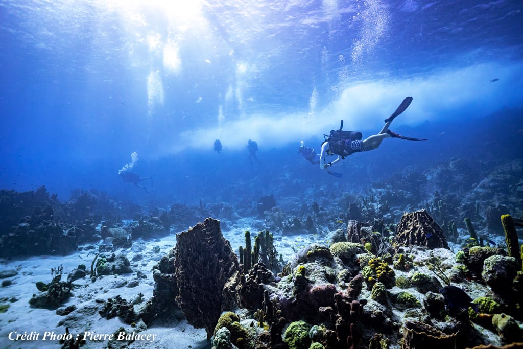 Tauchen im Cousteau-Reservat