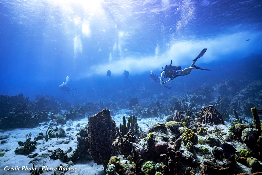 scuba diving in the Cousteau Reserve