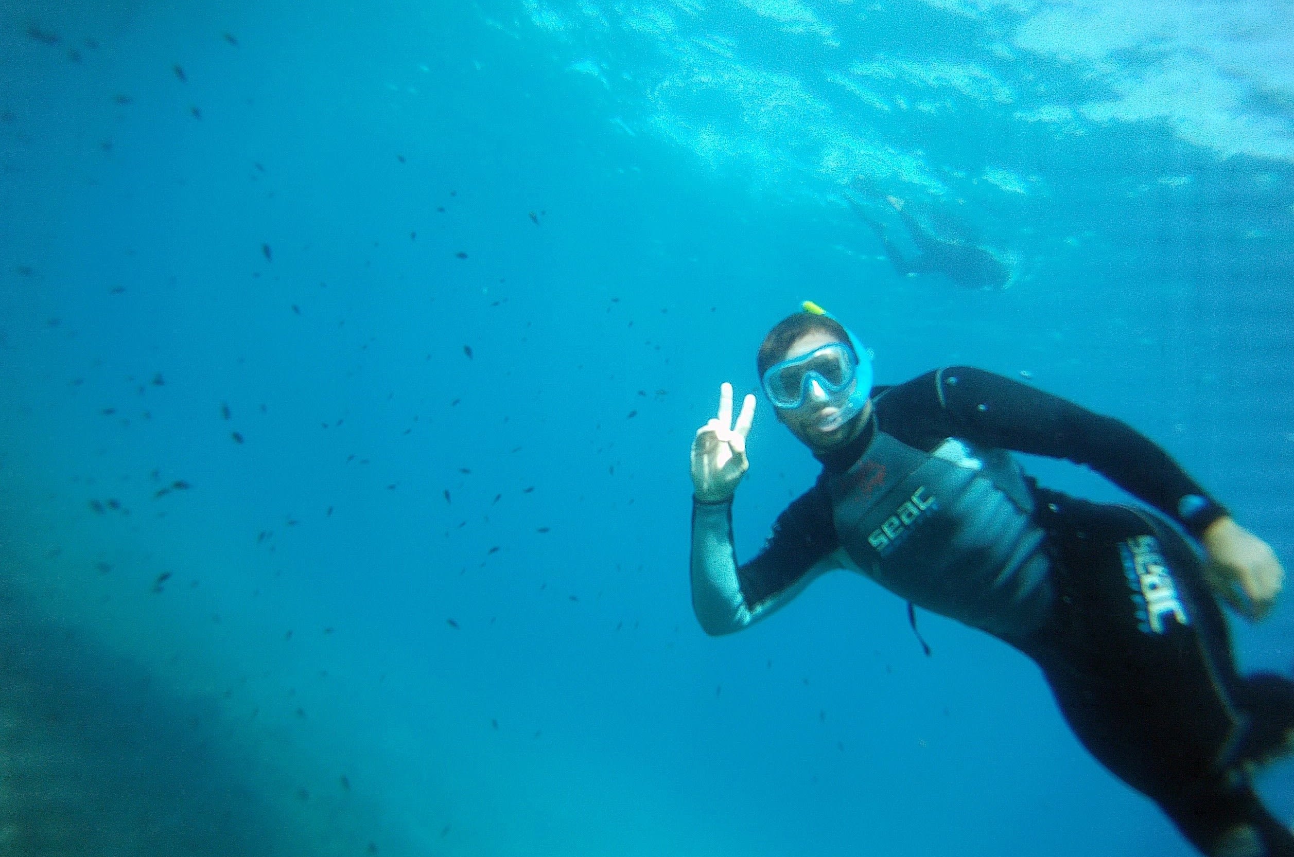 Snorkeling à Fréjus