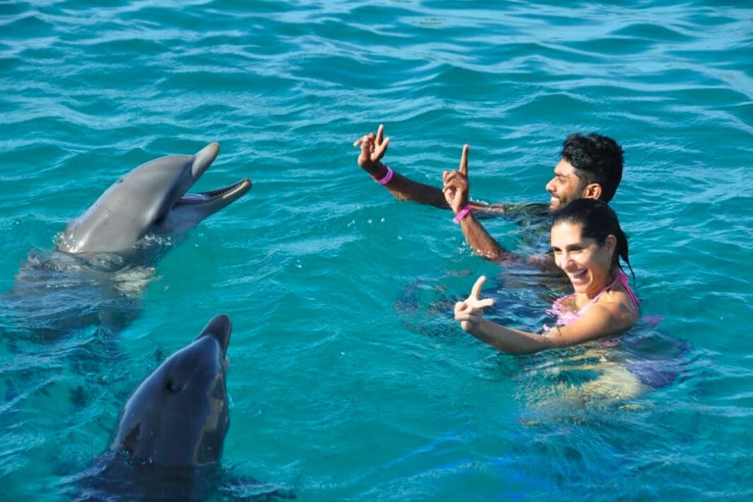 A couple swimming with dolphins in Terceria, Azores