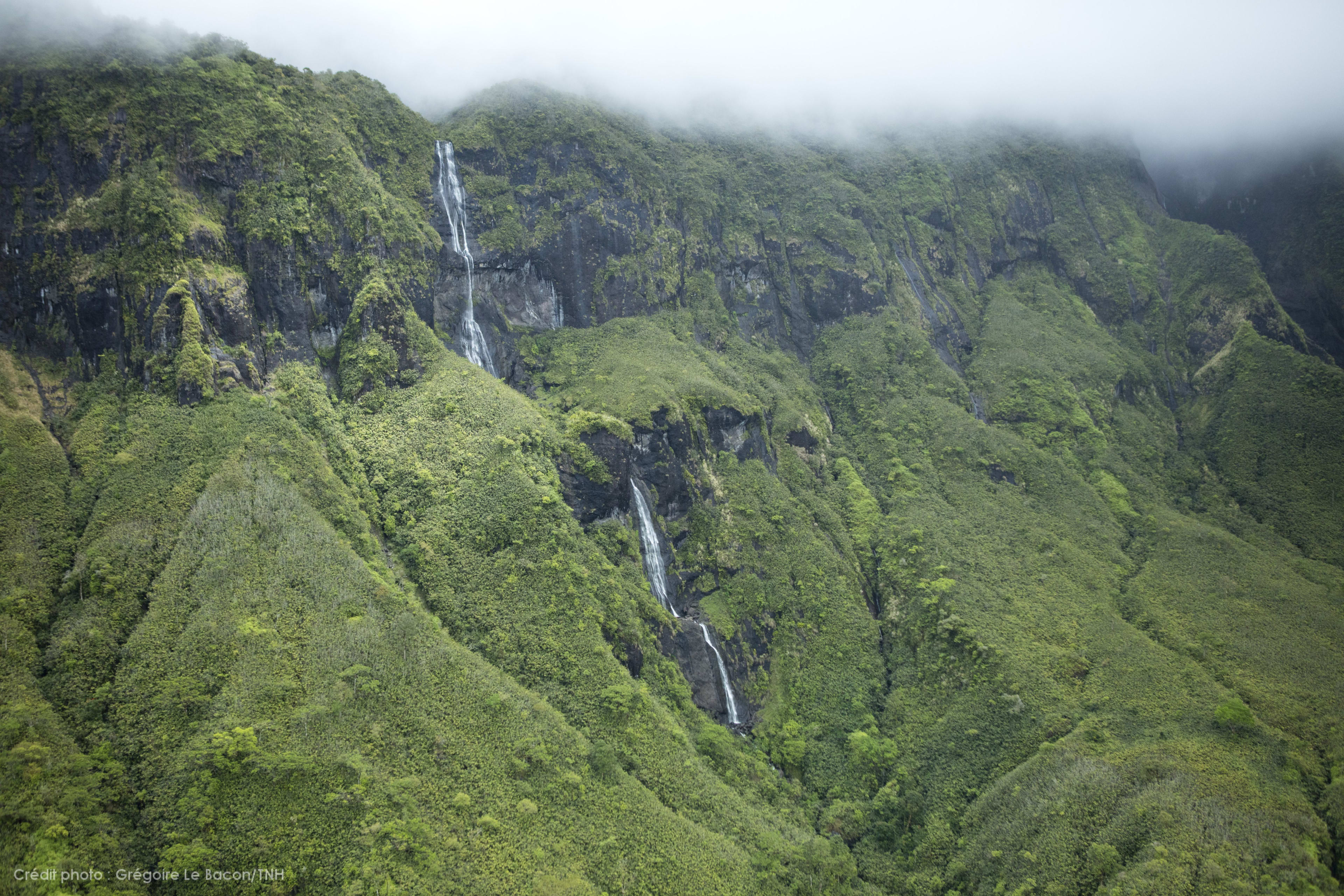 Cascadas en el corazón de Tahití