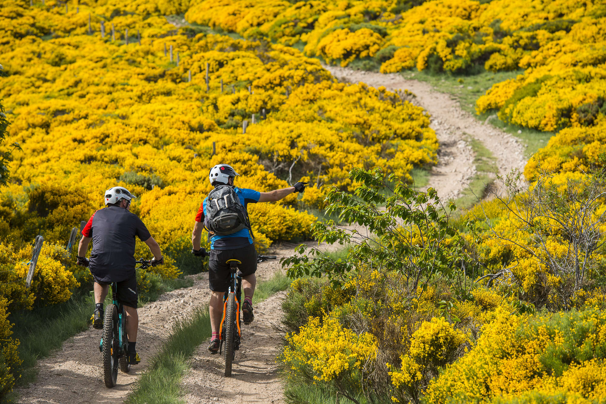 VTT dans le sud de l'Ardèche