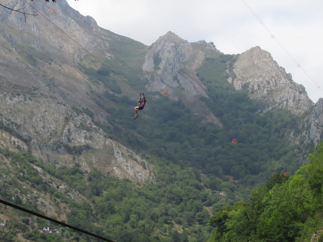 Ziplining circuits in Ponga Natural Park