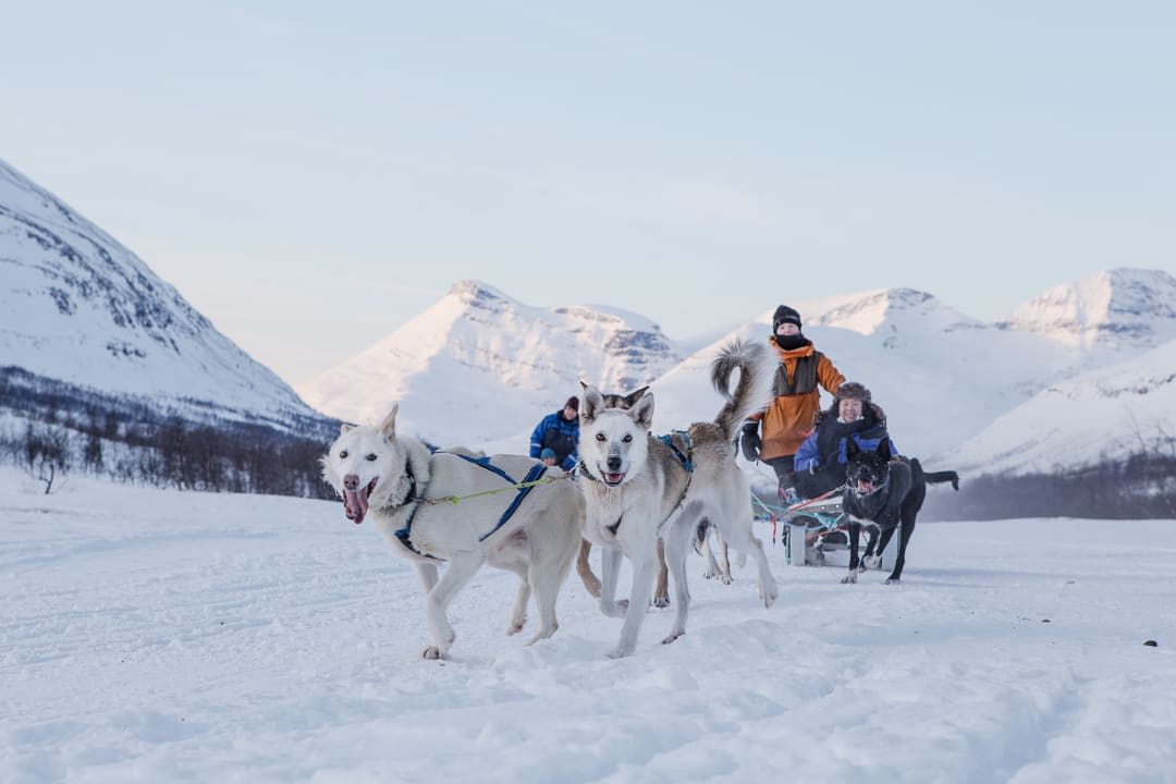 husky tour tromso