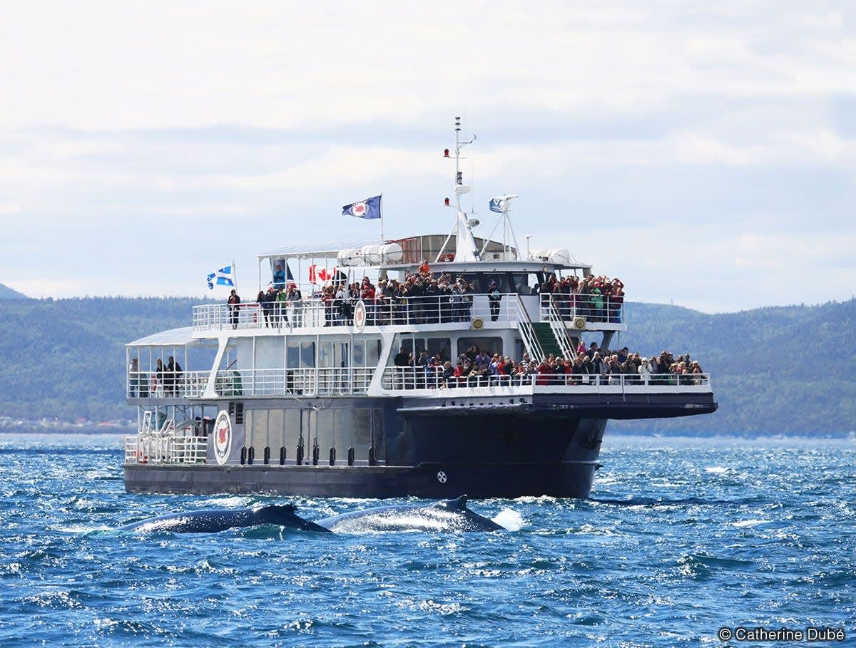 Bateau sur l'eau