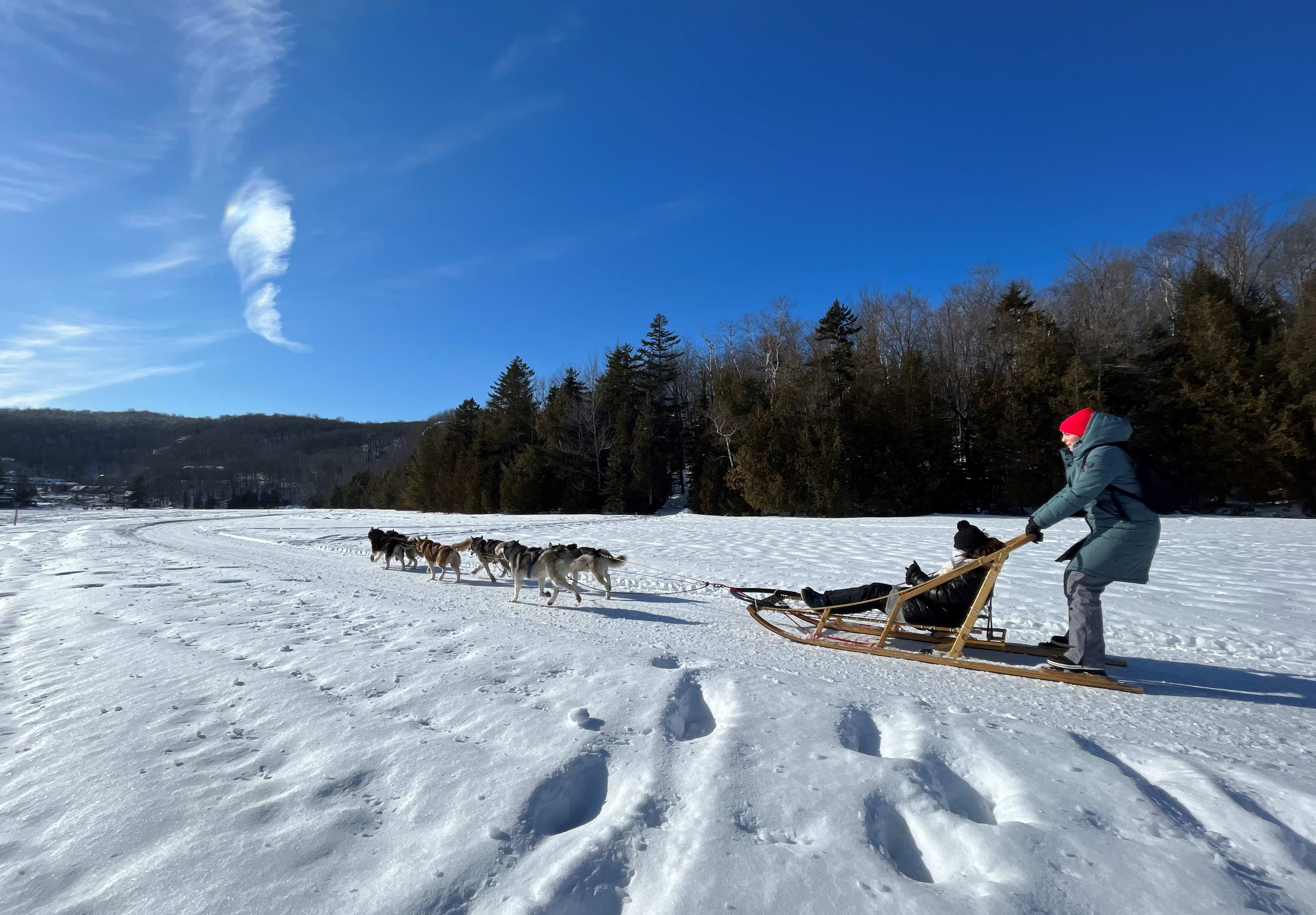 Dog Sledding Ride in Saint-Hippolyte