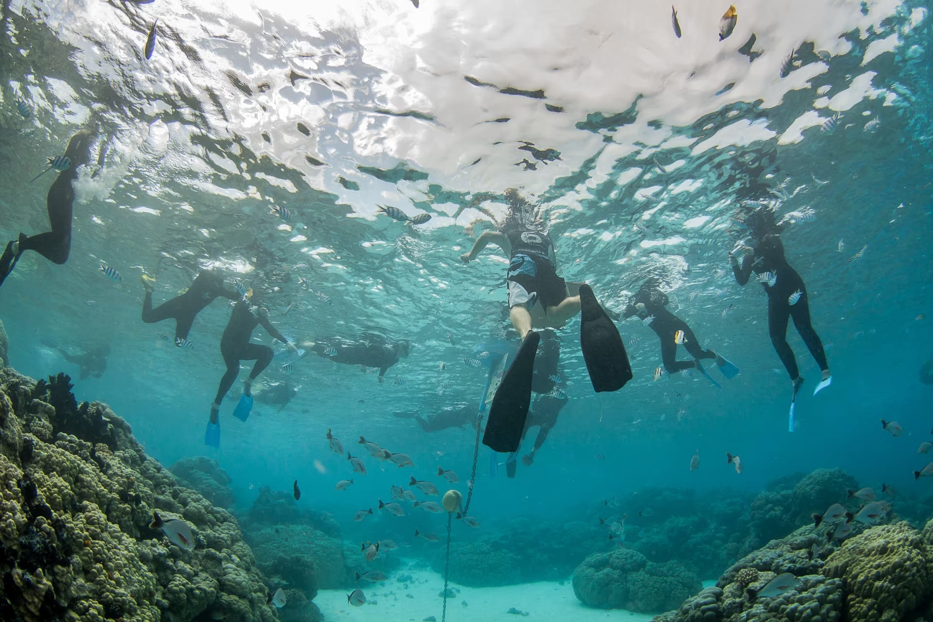 Snorkeling en Polynésie Française