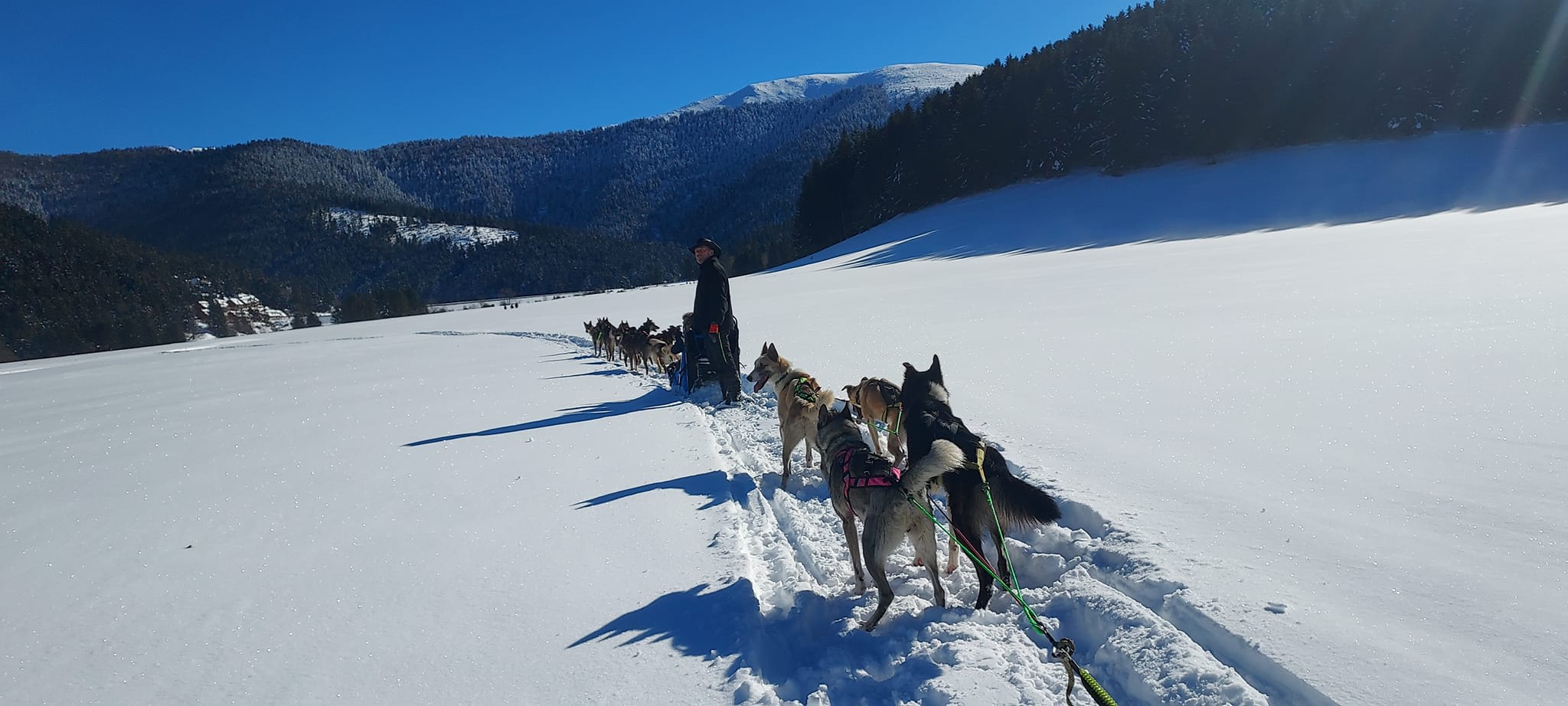 Hundeschlittenfahrt in La Mongie, Pyrenäen