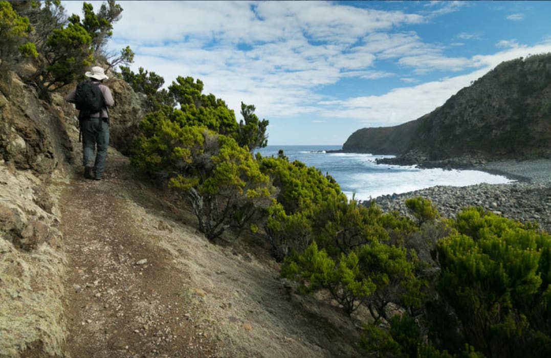 Excursion pédestre sur l'île de Terceira