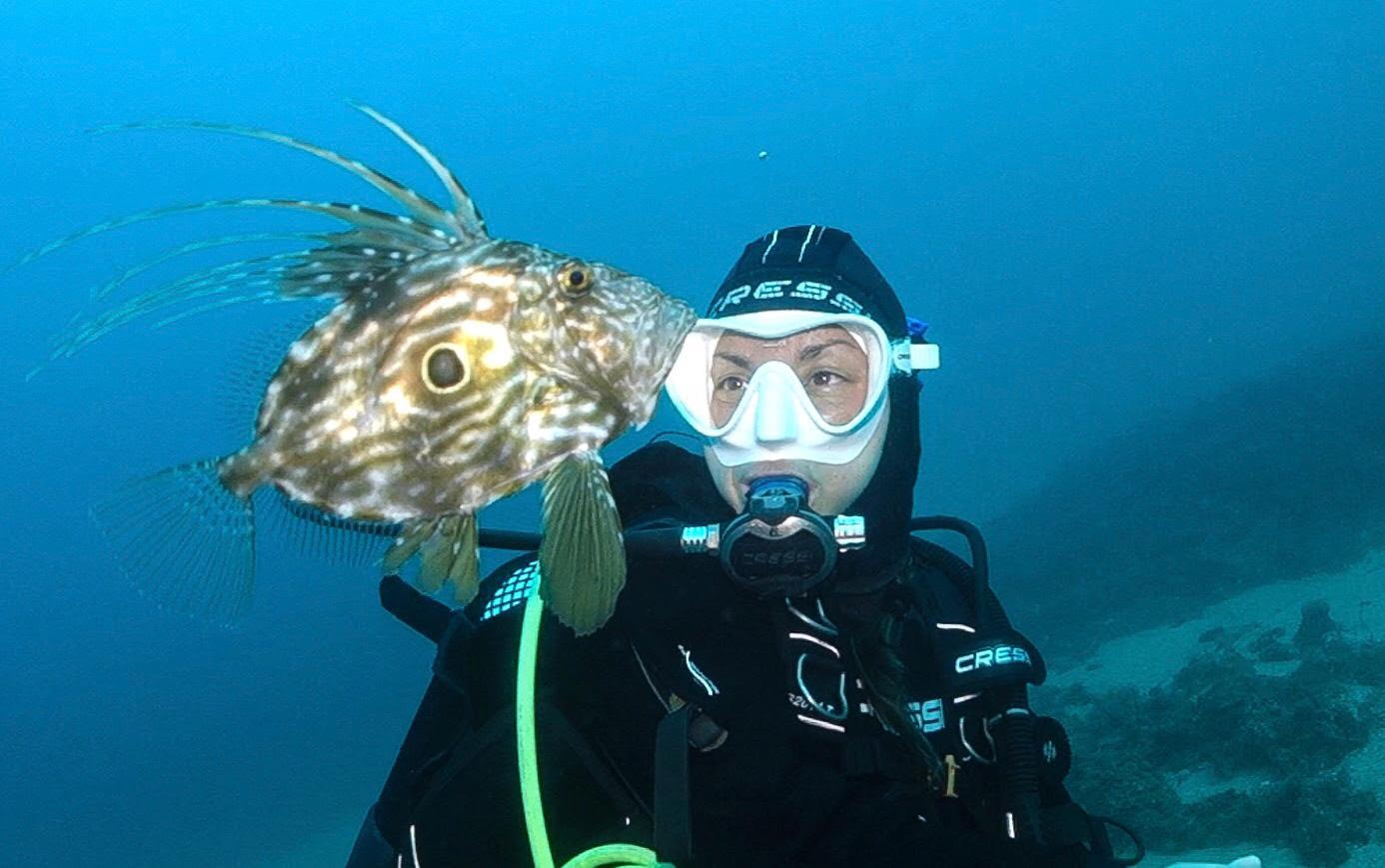 Curso de Buceo con Certificación en Tossa de Mar, Costa Brava