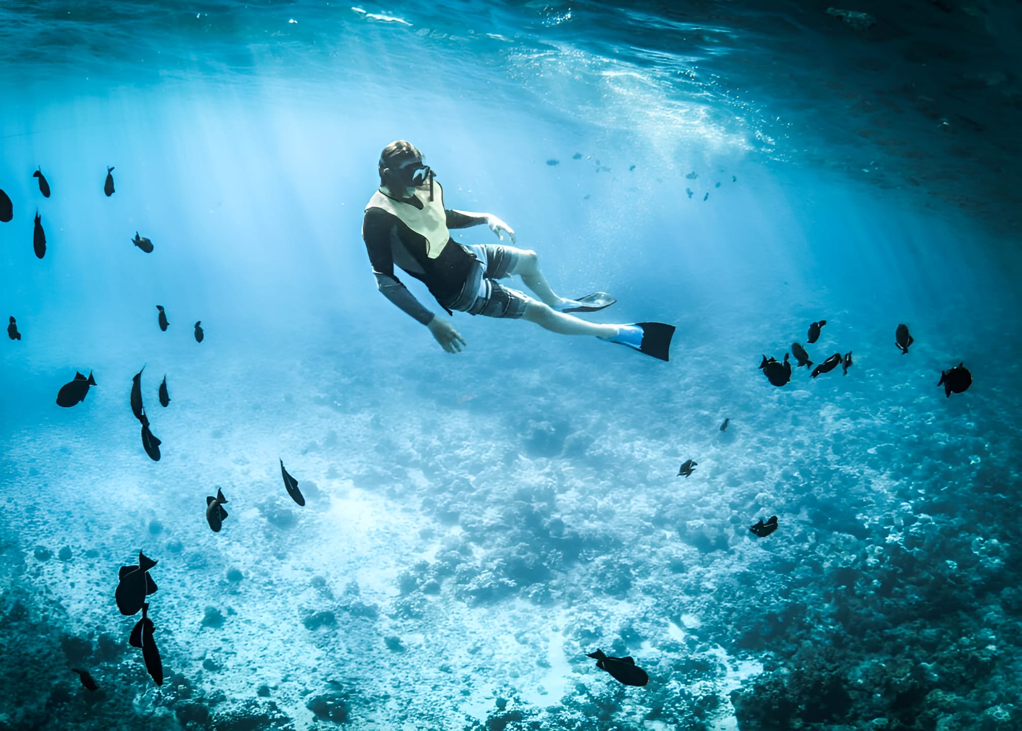 Carte Cadeau Snorkeling